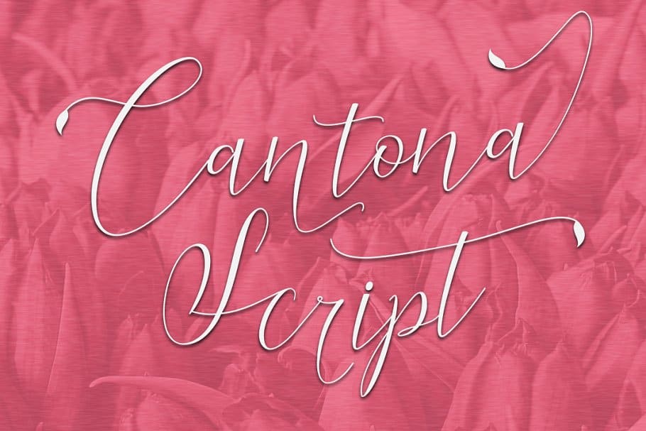 Cantona шрифт скачать бесплатно
