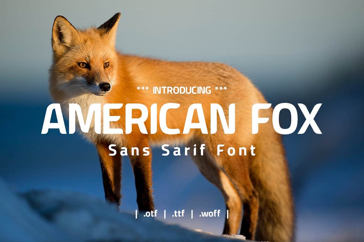 American Fox шрифт скачать бесплатно