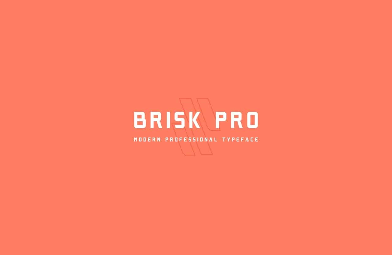 Brisk Pro шрифт скачать бесплатно